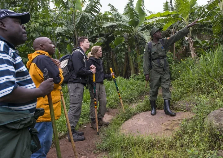 2024 Uganda wildlife authority tourism achievements