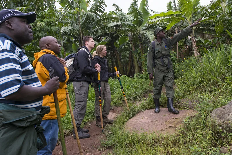 2024 Uganda wildlife authority tourism achievements