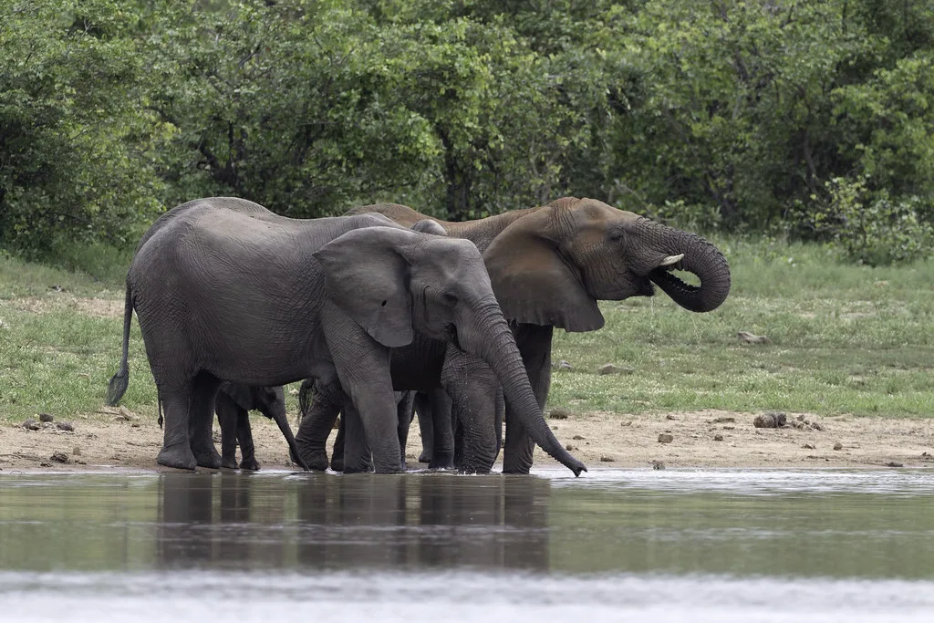 3 Days Couple safari to Queen Elizabeth National Game Park