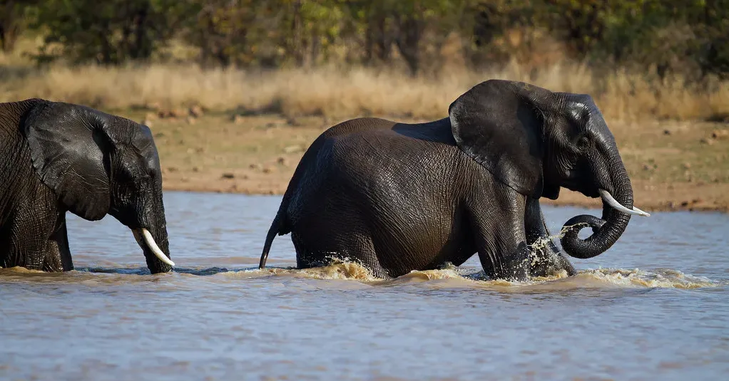  4-Day Uganda Wildlife Safari 