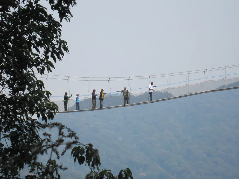 5 things To Do On Honeymoon In Nyungwe National Park.