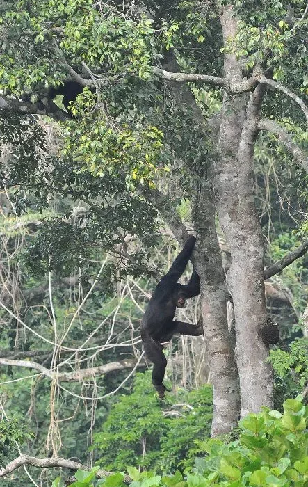 7 Safari Experiences in Rwanda