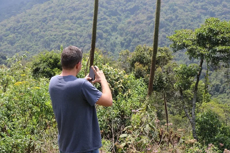 Best time to trek Chimps in Gishwati-Mukura National Park