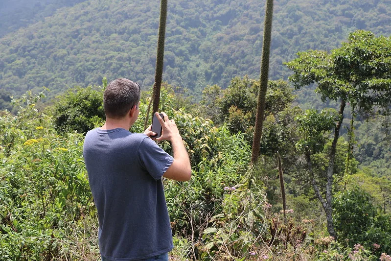 Best time to trek Chimps in Gishwati-Mukura National Park