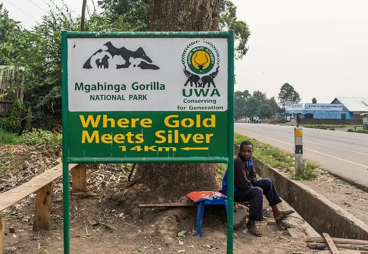 Booking a safari to Mgahinga National Park