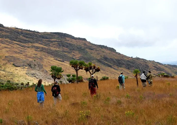 Mountain Elgon Hiking