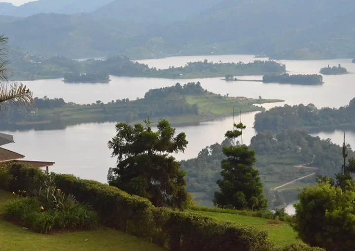 Gorilla trekking while staying at lake Bunyonyi.
