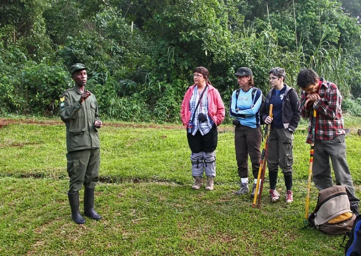 How to organize a flyin Safari to Buhoma and Ishasha