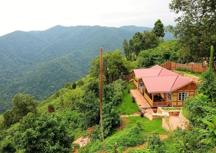 Nkuringo Bwindi Gorilla Lodge