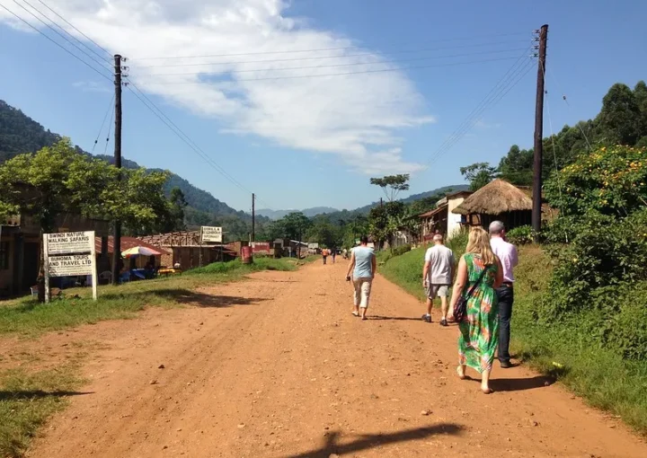 Road trips to Bwindi impenetrable National Park from Entebbe.
