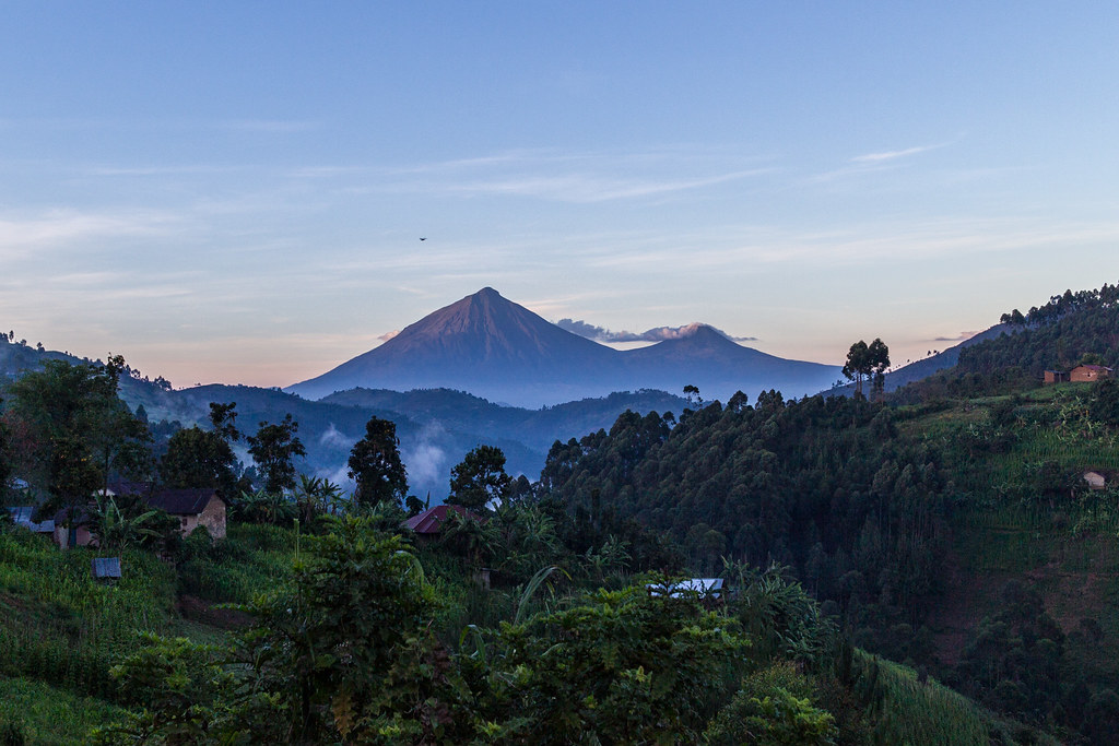 Things to Do in Bwindi on Your Honeymoon