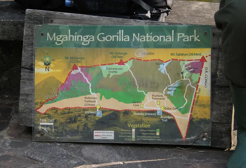 Things to consider before booking a flying safari to Mgahinga National Park