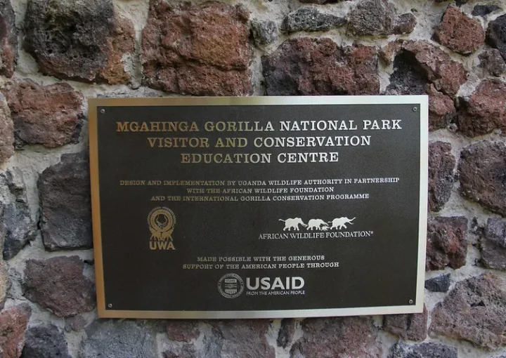 Things to see and do in mgahinga national park.