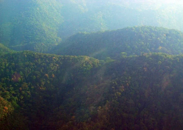 What is the price of gorilla trekking permits to see mountain gorillas in Bwindi and Mgahinga.