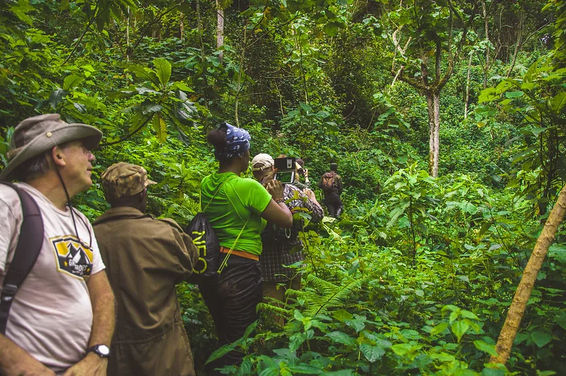 What to see and do in Bwindi Forest National Park from Kigali