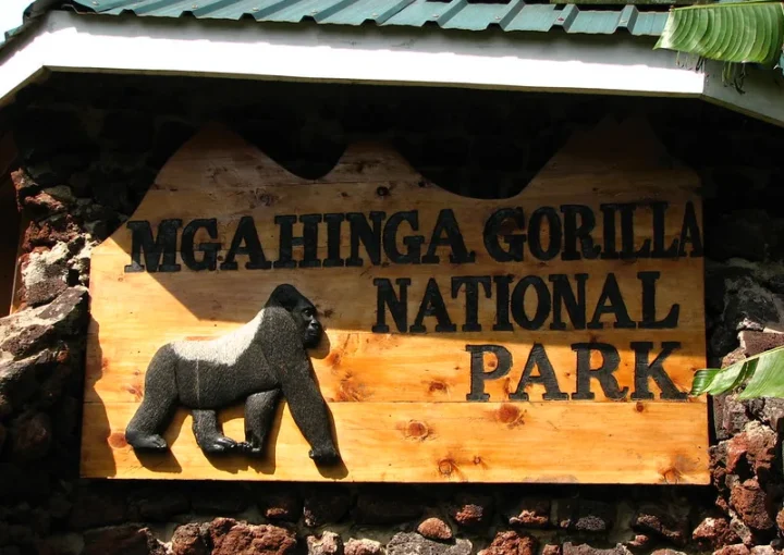 Which part of Africa is Mgahinga National Park