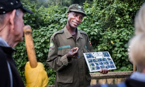 A Day in life of a gorilla ranger