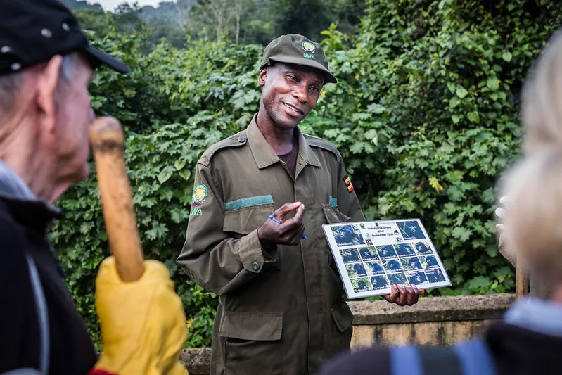 A Day in life of a gorilla ranger