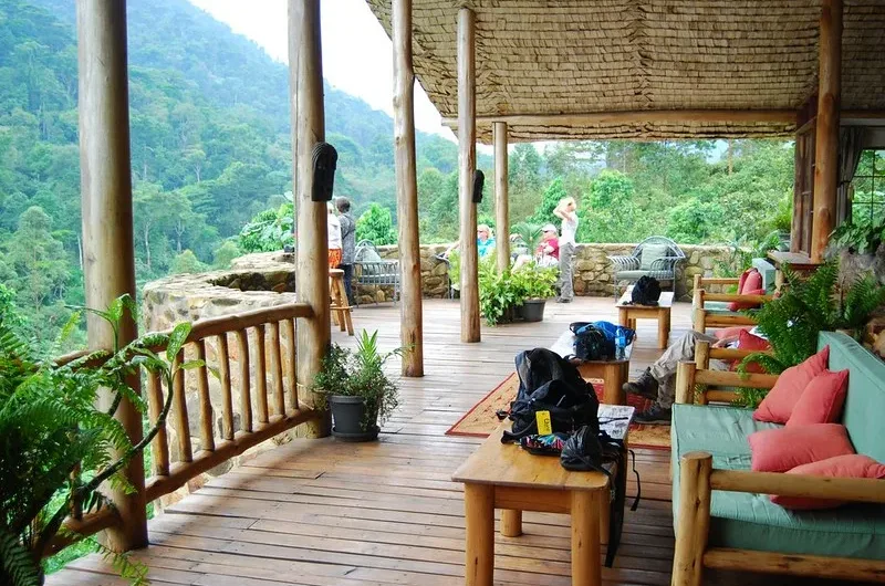 Budget lodges and campsites in Bwindi