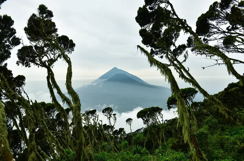 Frequently Asked Mgahinga National Park Questions