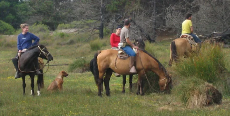 Horse Riding Adventures in Jinja