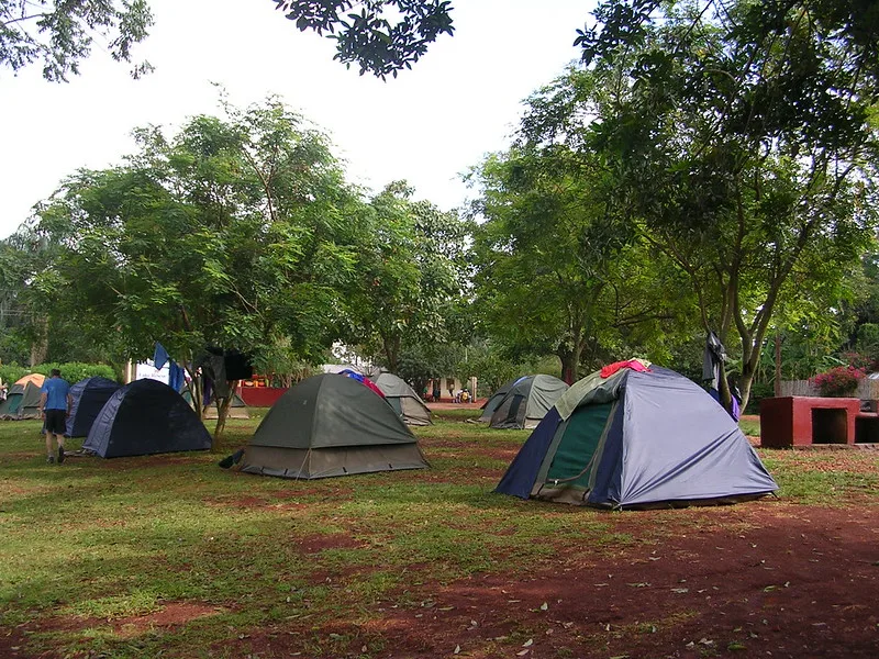 Organizing budget camping tours in Bwindi and Mgahinga.