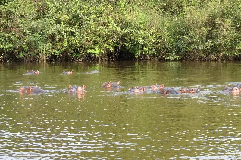 Reasons to visit Lake Mburo National Park