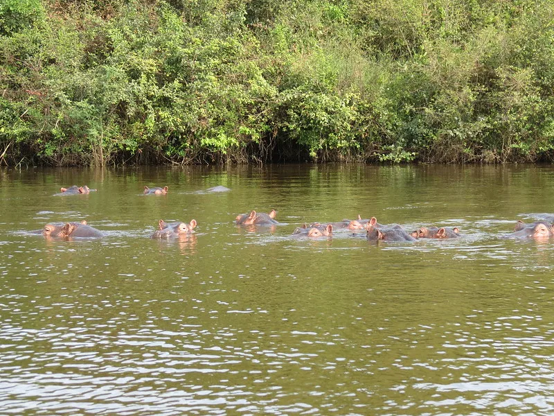 Reasons to visit Lake Mburo National Park