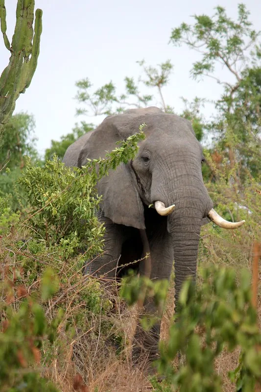 Uganda Tour Operators Go For Fam Trip.