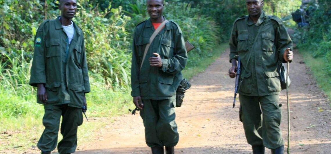 Best time for a family safari to Uganda