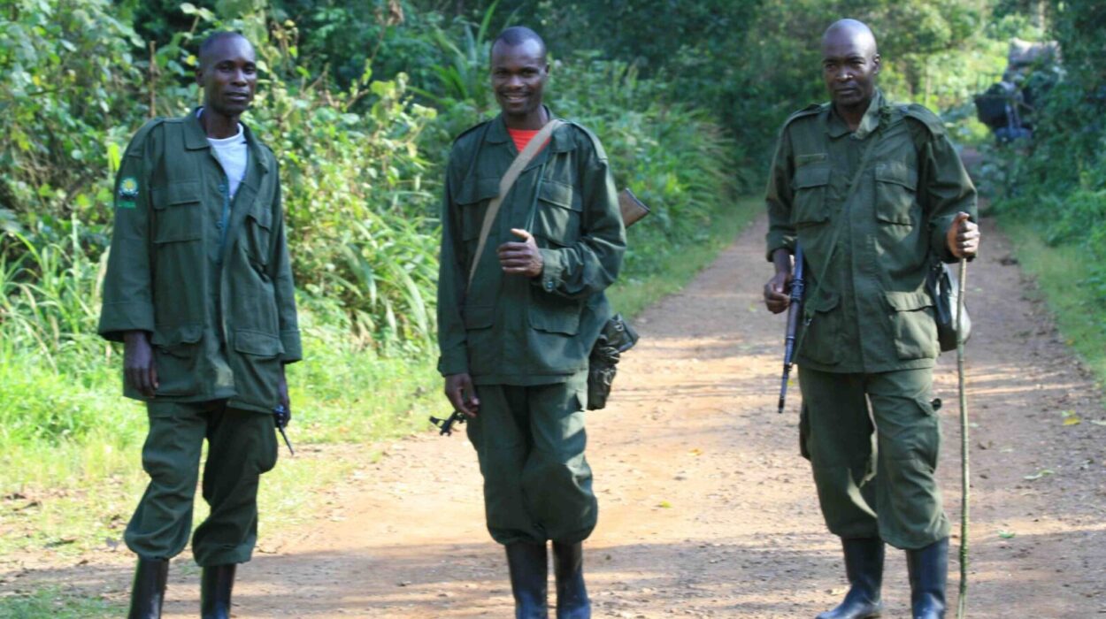 Best time for a family safari to Uganda