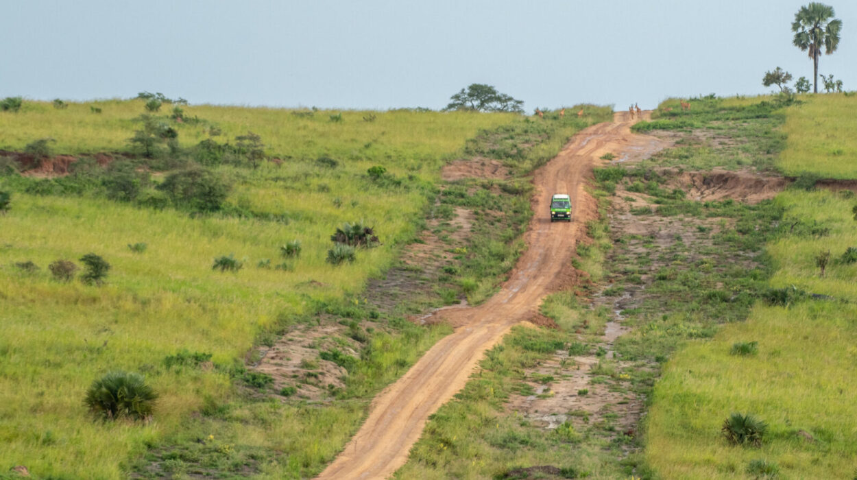 Moving around Uganda