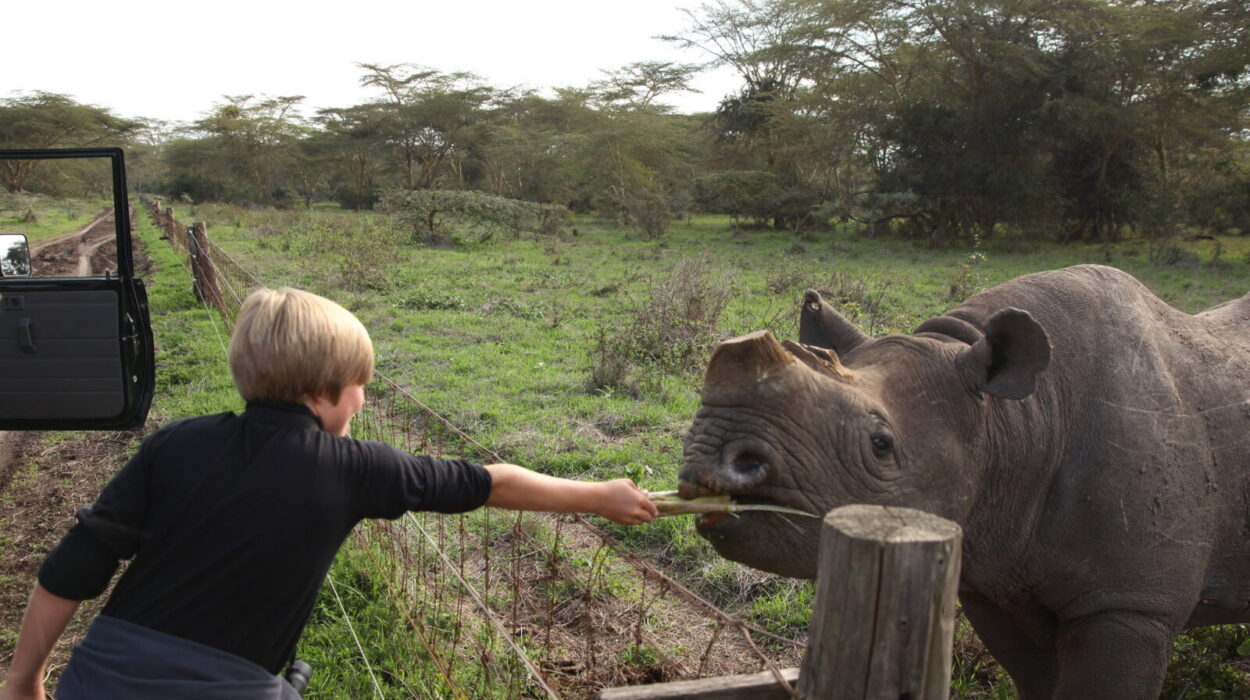 Traveling with children through Uganda