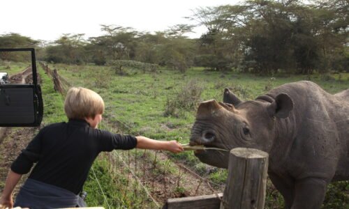 Traveling with children through Uganda