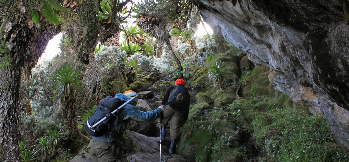 Mountain hiking and trekking safaris in Africa.