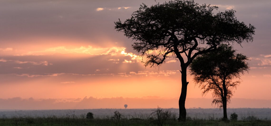 Northern Tanzania Safari Circuit