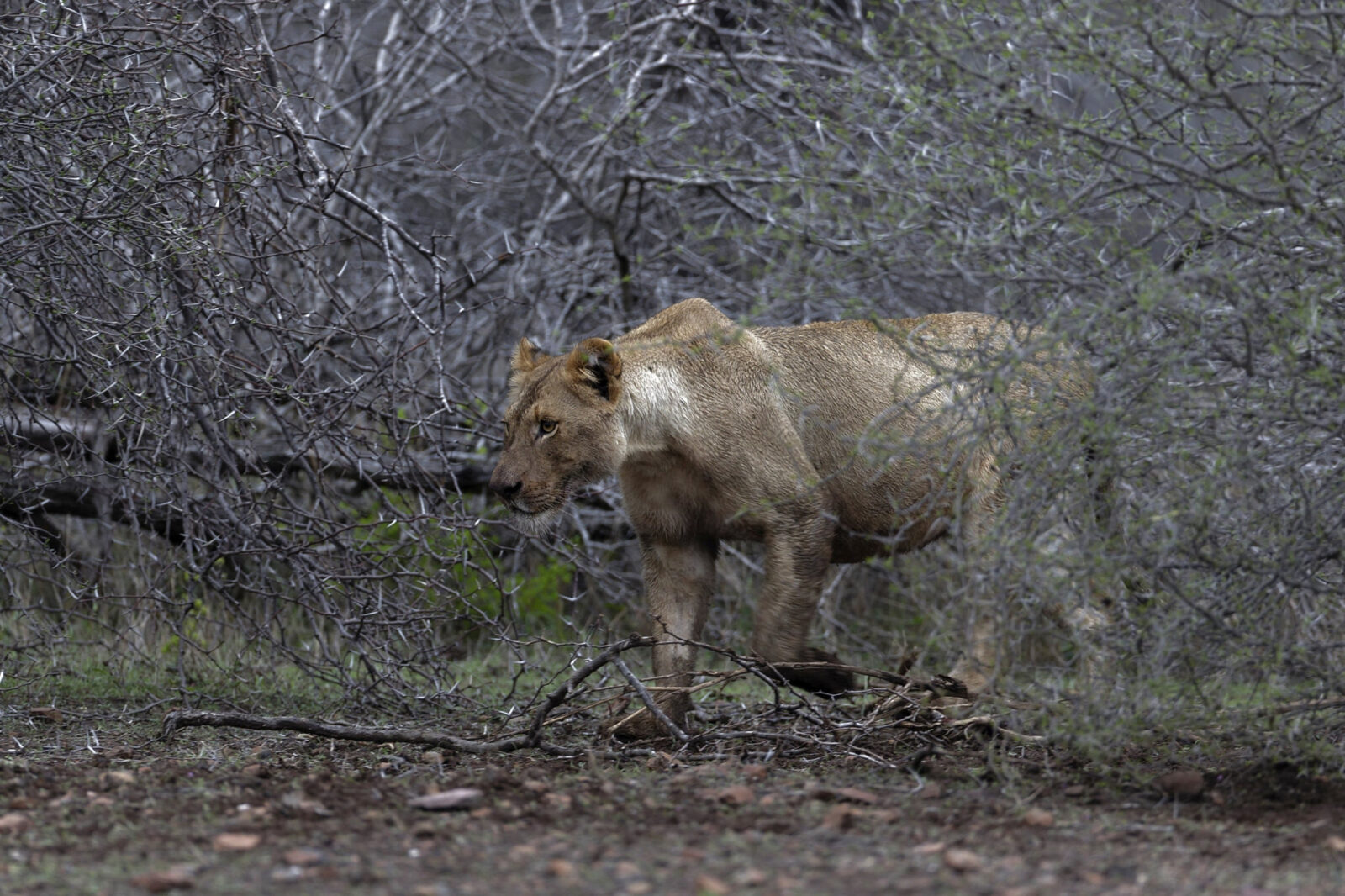 African Destinations with Unforgettable Adventure