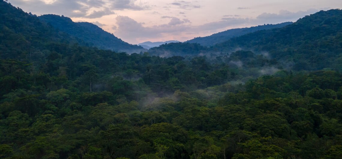 Best places to visit in Uganda