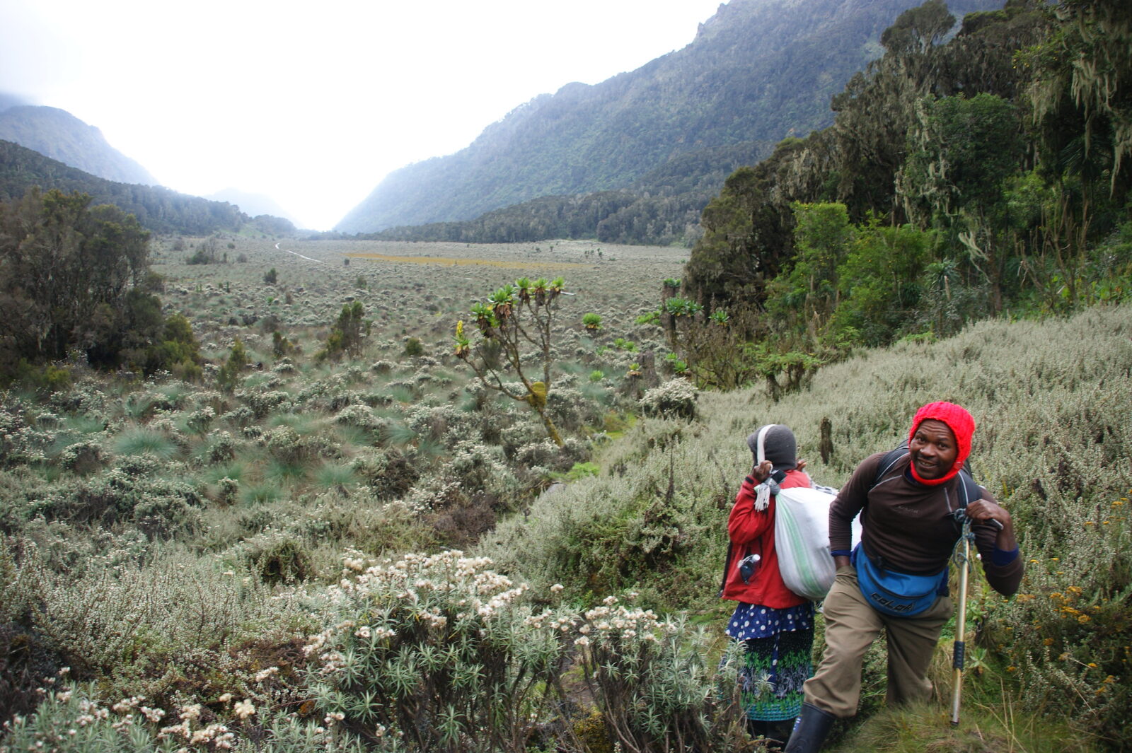Climbing the Rwenzori Mountains