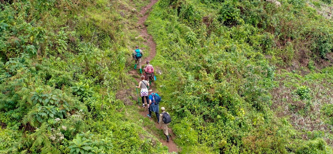 Conquering the Rwenzori mountains