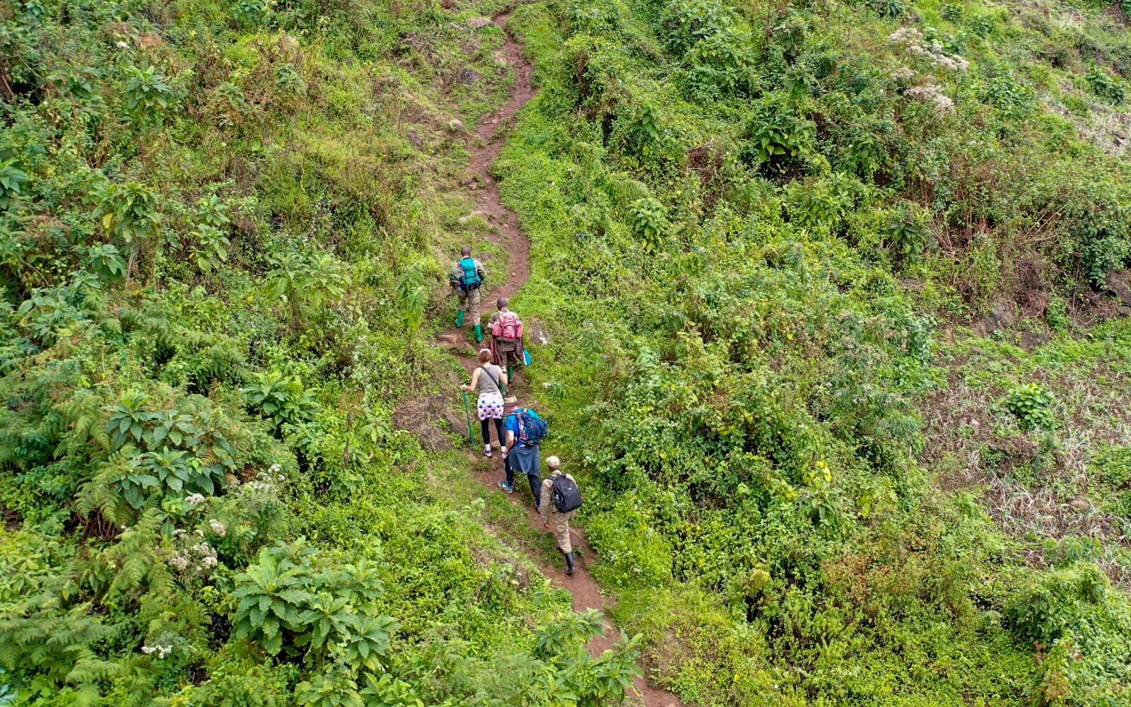 Conquering the Rwenzori mountains