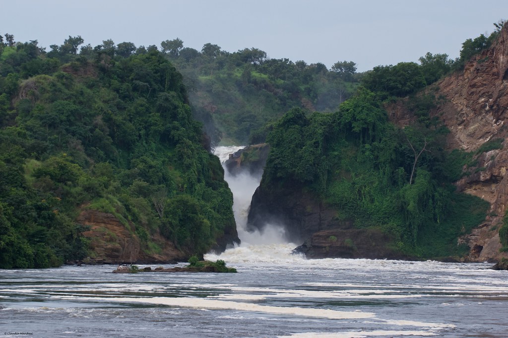 Experience the Majesty of Murchison Falls National Park
