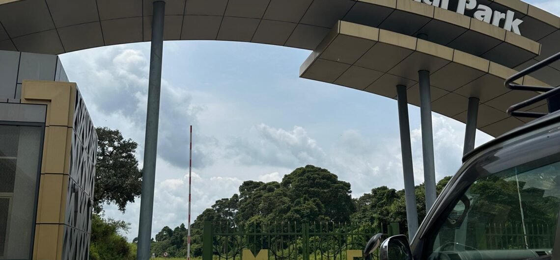 How to reach Murchison Falls National Park from Entebbe