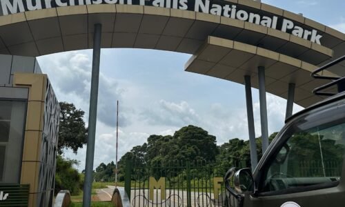 How to reach Murchison Falls National Park from Entebbe