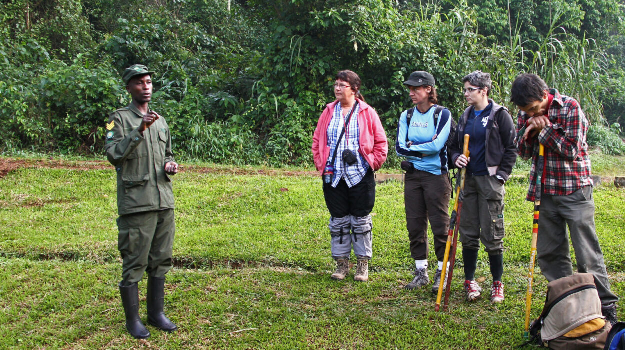 Logistics for Gorilla Trekking in Uganda