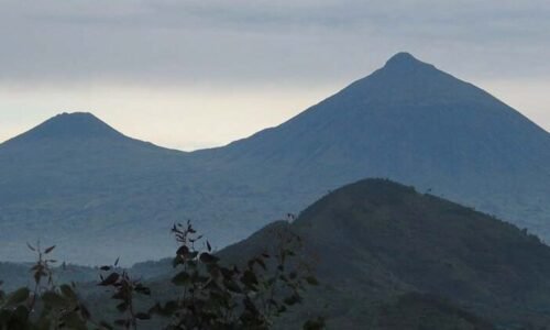 Mountain Gahinga lodge