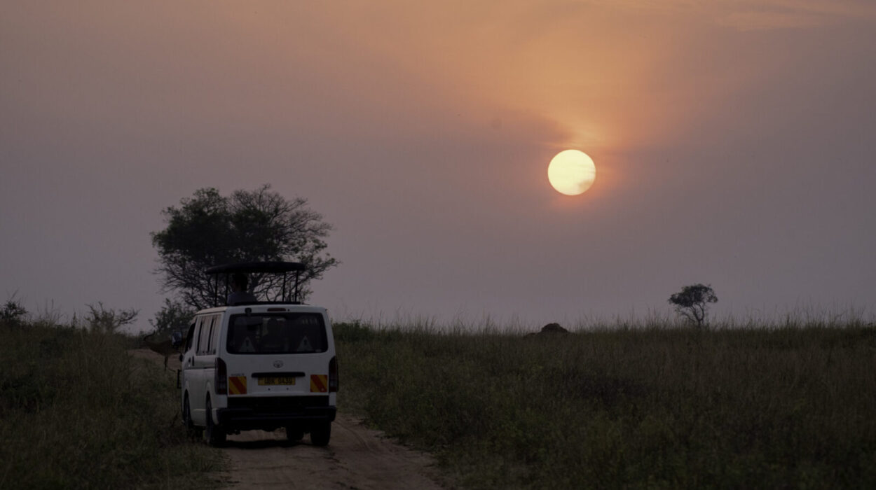 Top Safari Activities at Murchison Falls National Park