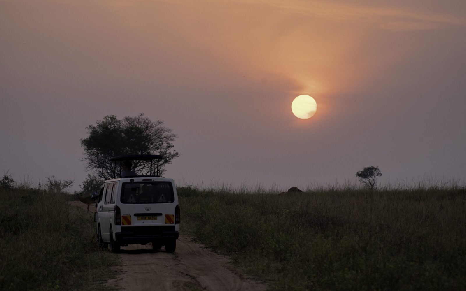 Top Safari Activities at Murchison Falls National Park