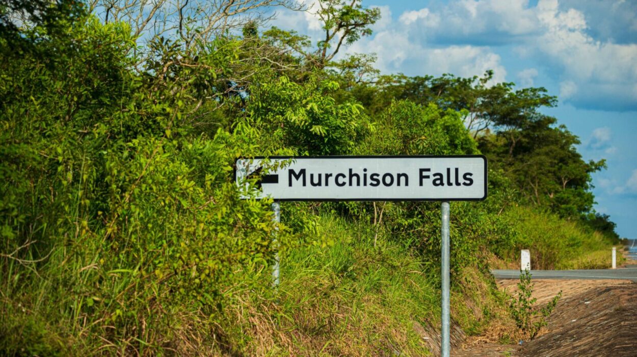 2 Days Murchison Falls Trip