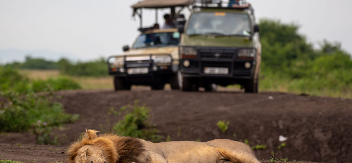 4-Day Safari to Queen Elizabeth National Park